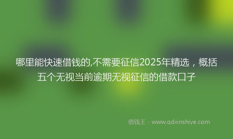 哪里能快速借钱的,不需要征信2025年精选，概括五个无视当前逾期无视征信的借款口子