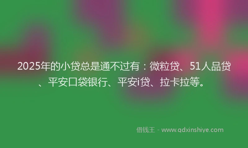 2025年的小贷总是通不过有：微粒贷、51人品贷、平安口袋银行、平安i贷、拉卡拉等。