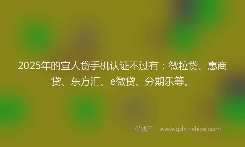 2025年的宜人贷手机认证不过有：微粒贷、惠商贷、东方汇、e微贷、分期乐等。