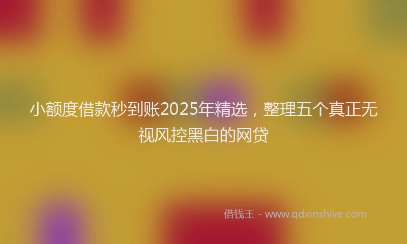 小额度借款秒到账2025年精选，整理五个真正无视风控黑白的网贷