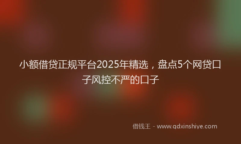 小额借贷正规平台2025年精选，盘点5个网贷口子风控不严的口子