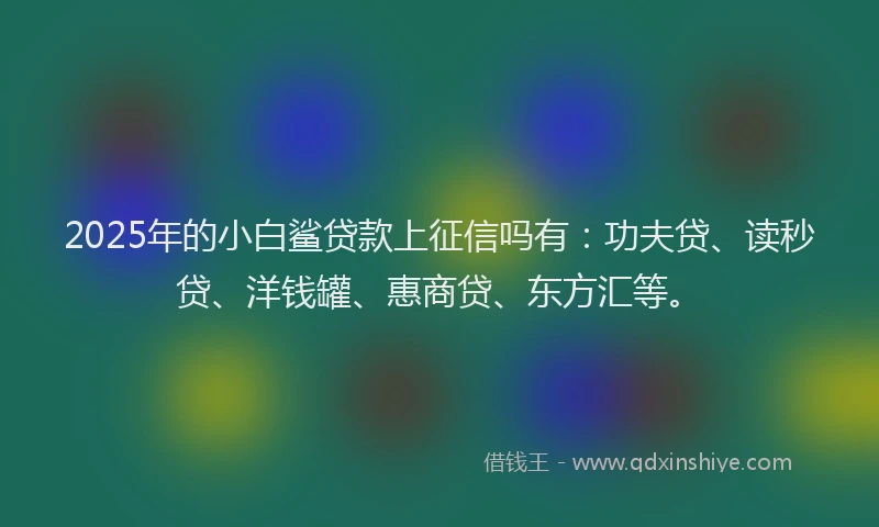 2025年的小白鲨贷款上征信吗有：功夫贷、读秒贷、洋钱罐、惠商贷、东方汇等。