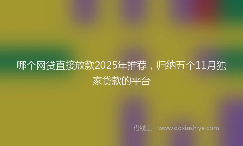 哪个网贷直接放款2025年推荐，归纳五个11月独家贷款的平台