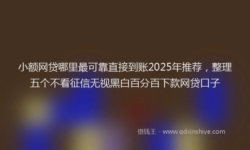小额网贷哪里最可靠直接到账2025年推荐，整理五个不看征信无视黑白百分百下款网贷口子