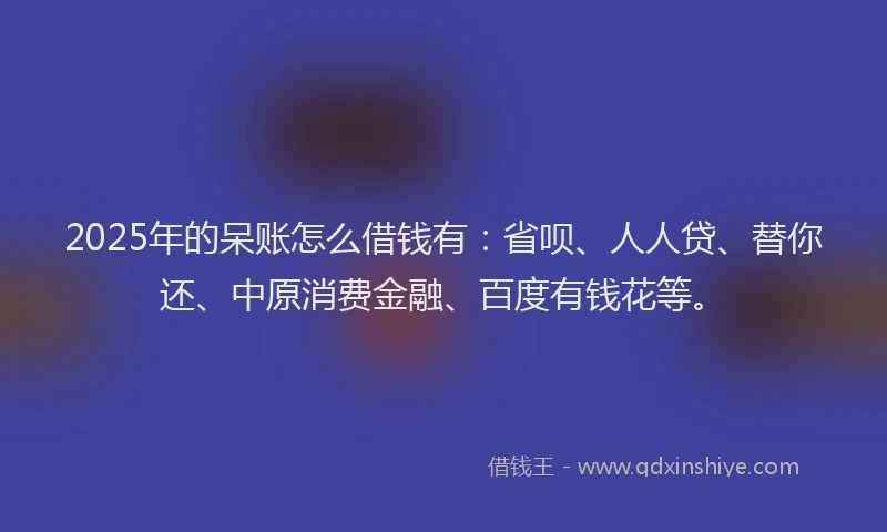 2025年的呆账怎么借钱有：省呗、人人贷、替你还、中原消费金融、百度有钱花等。