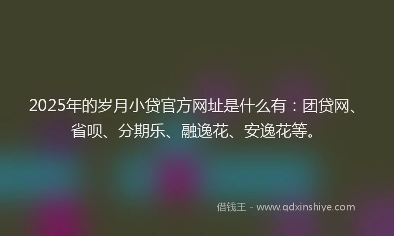 2025年的岁月小贷官方网址是什么有：团贷网、省呗、分期乐、融逸花、安逸花等。