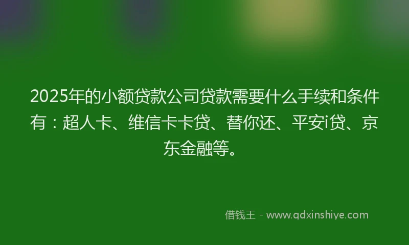 2025年的小额贷款公司贷款需要什么手续和条件有：超人卡、维信卡卡贷、替你还、平安i贷、京东金融等。