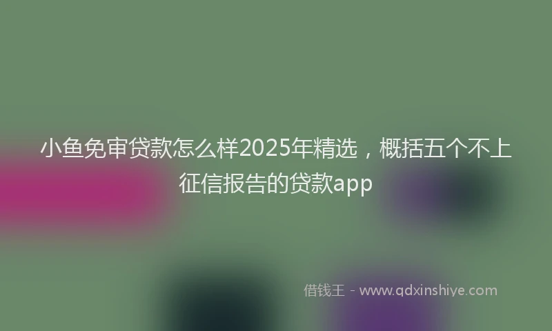 小鱼免审贷款怎么样2025年精选，概括五个不上征信报告的贷款app