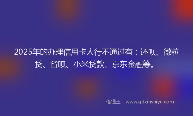 2025年的办理信用卡人行不通过有：还呗、微粒贷、省呗、小米贷款、京东金融等。