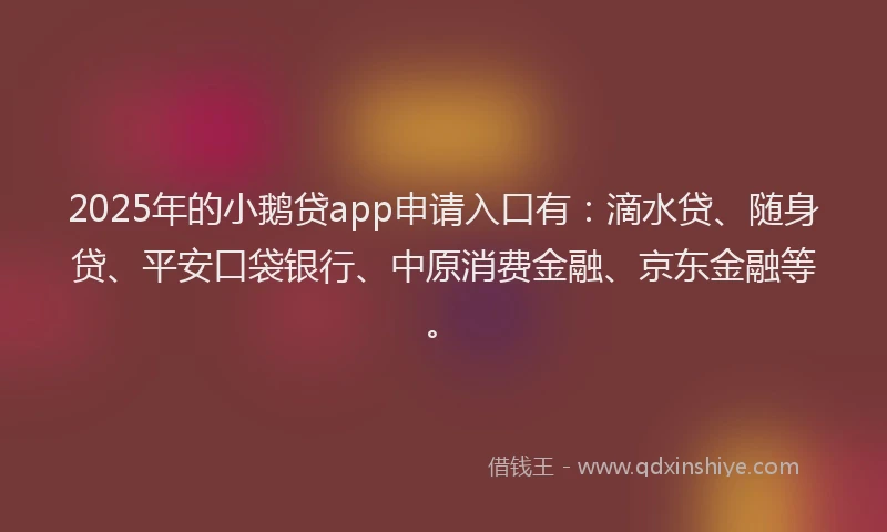 2025年的小鹅贷app申请入口有：滴水贷、随身贷、平安口袋银行、中原消费金融、京东金融等。
