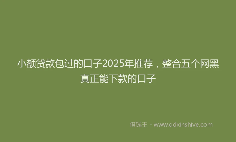 小额贷款包过的口子2025年推荐，整合五个网黑真正能下款的口子