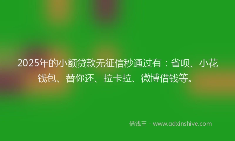 2025年的小额贷款无征信秒通过有：省呗、小花钱包、替你还、拉卡拉、微博借钱等。