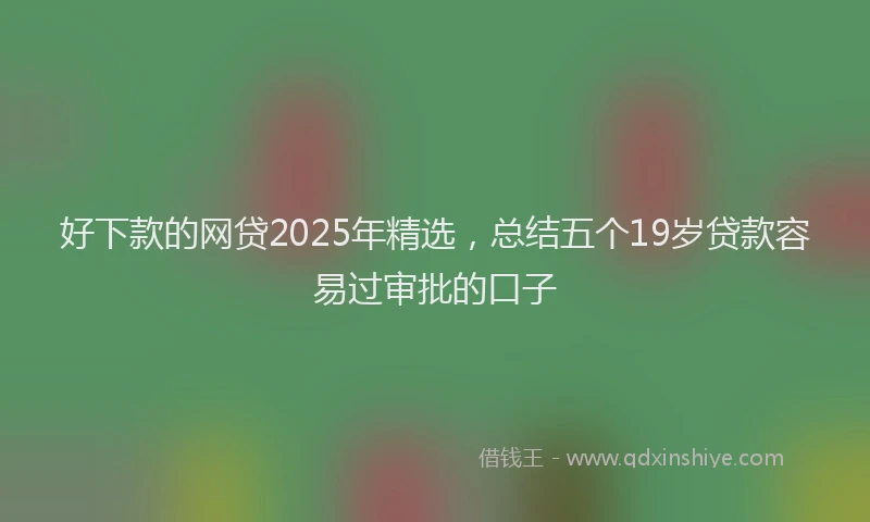 好下款的网贷2025年精选，总结五个19岁贷款容易过审批的口子