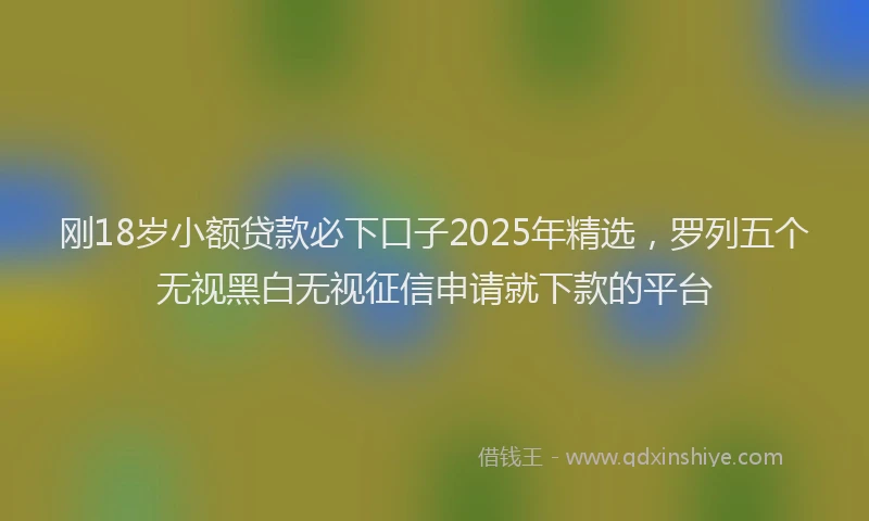刚18岁小额贷款必下口子2025年精选，罗列五个无视黑白无视征信申请就下款的平台
