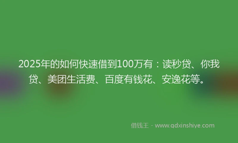 2025年的如何快速借到100万有:读秒贷、你我贷、美团生活费、百度有钱花、安逸花等。