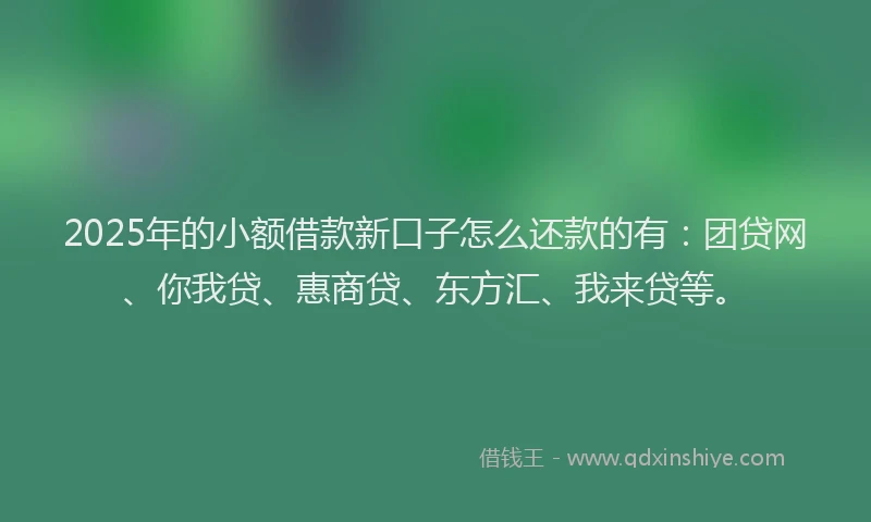 2025年的小额借款新口子怎么还款的有：团贷网、你我贷、惠商贷、东方汇、我来贷等。