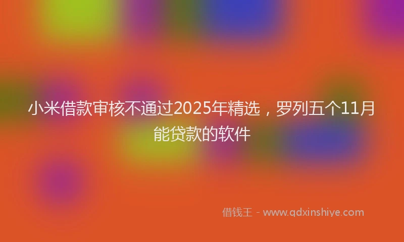 小米借款审核不通过2025年精选，罗列五个11月能贷款的软件