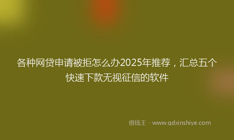 各种网贷申请被拒怎么办2025年推荐，汇总五个快速下款无视征信的软件