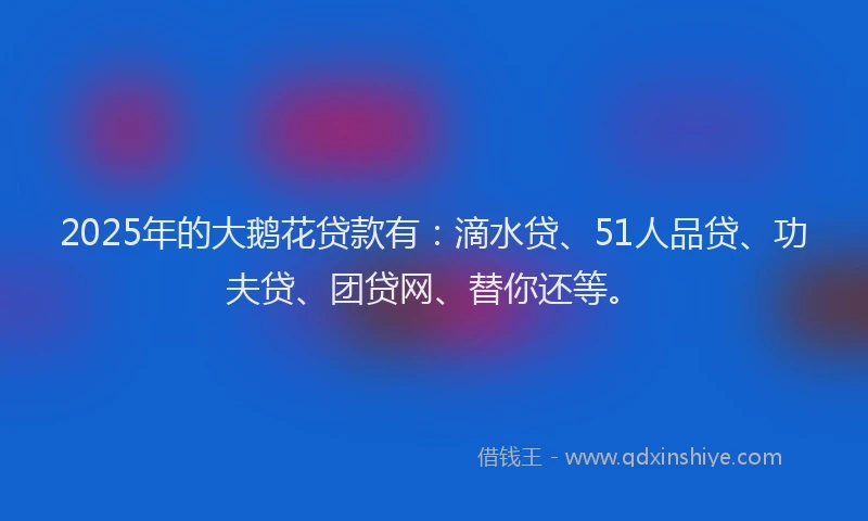 2025年的大鹅花贷款有：滴水贷、51人品贷、功夫贷、团贷网、替你还等。