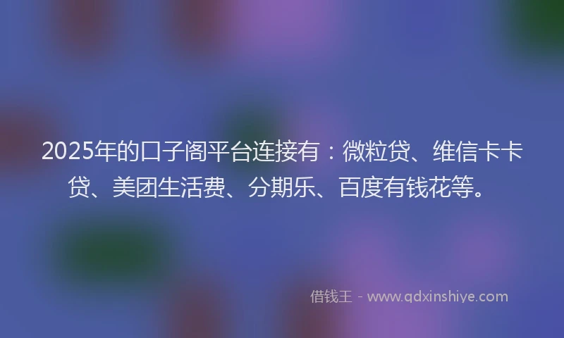 2025年的口子阁平台连接有：微粒贷、维信卡卡贷、美团生活费、分期乐、百度有钱花等。