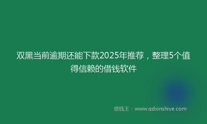 双黑当前逾期还能下款2025年推荐，整理5个值得信赖的借钱软件