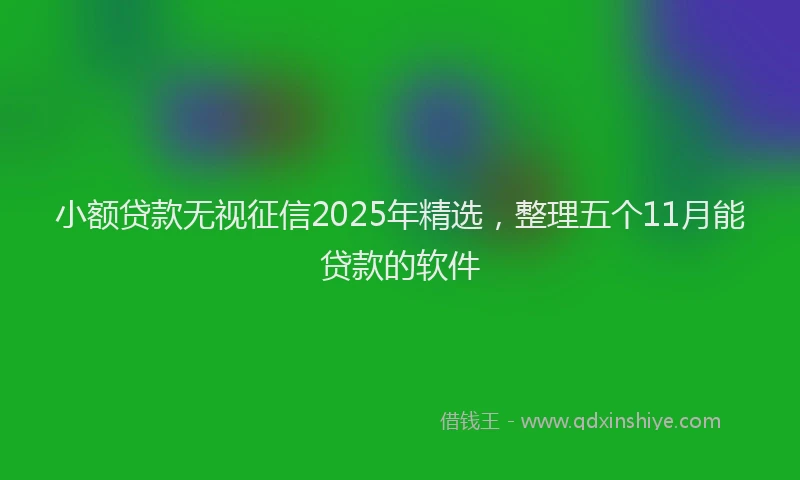 小额贷款无视征信2025年精选，整理五个11月能贷款的软件