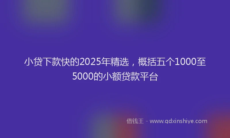 小贷下款快的2025年精选，概括五个1000至5000的小额贷款平台