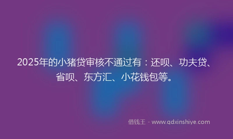 2025年的小猪贷审核不通过有：还呗、功夫贷、省呗、东方汇、小花钱包等。