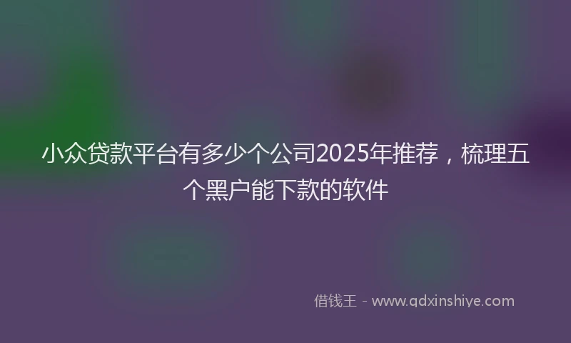 小众贷款平台有多少个公司2025年推荐，梳理五个黑户能下款的软件