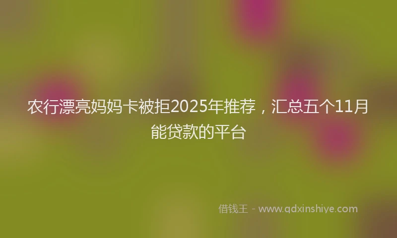 农行漂亮妈妈卡被拒2025年推荐，汇总五个11月能贷款的平台