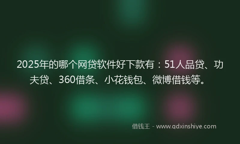 2025年的哪个网贷软件好下款有：51人品贷、功夫贷、360借条、小花钱包、微博借钱等。
