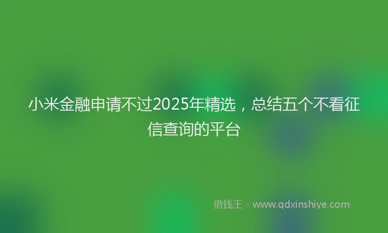 小米金融申请不过2025年精选，总结五个不看征信查询的平台