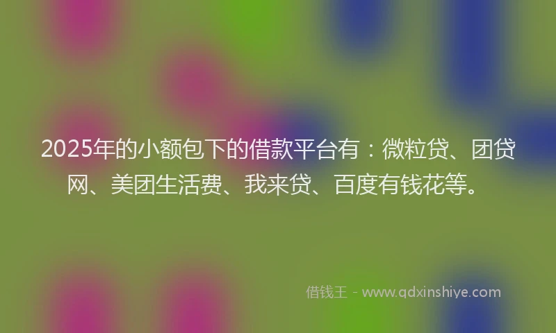 2025年的小额包下的借款平台有：微粒贷、团贷网、美团生活费、我来贷、百度有钱花等。