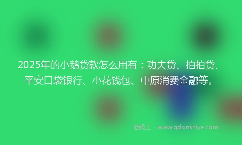 2025年的小鹅贷款怎么用有：功夫贷、拍拍贷、平安口袋银行、小花钱包、中原消费金融等。