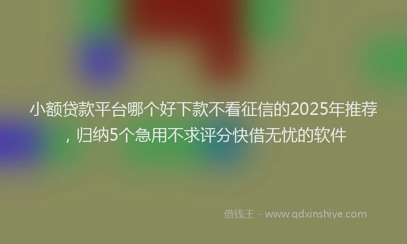 小额贷款平台哪个好下款不看征信的2025年推荐，归纳5个急用不求评分快借无忧的软件