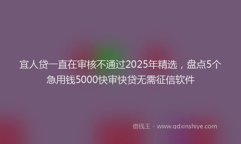 宜人贷一直在审核不通过2025年精选，盘点5个急用钱5000快审快贷无需征信软件