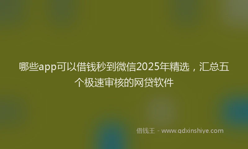 哪些app可以借钱秒到微信2025年精选，汇总五个极速审核的网贷软件