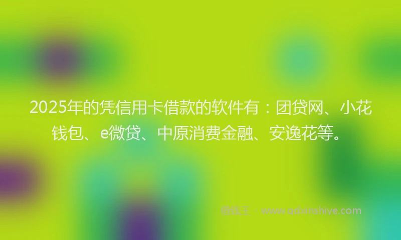 2025年的凭信用卡借款的软件有：团贷网、小花钱包、e微贷、中原消费金融、安逸花等。