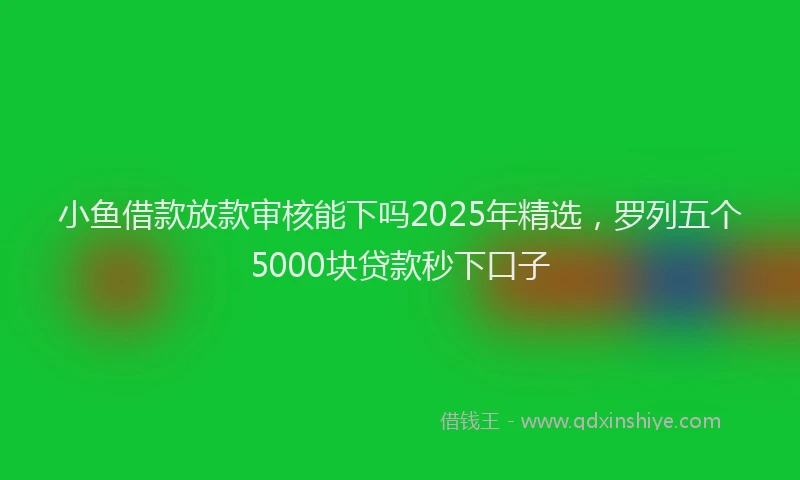 小鱼借款放款审核能下吗2025年精选，罗列五个5000块贷款秒下口子