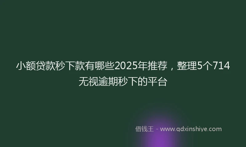 小额贷款秒下款有哪些2025年推荐，整理5个714无视逾期秒下的平台