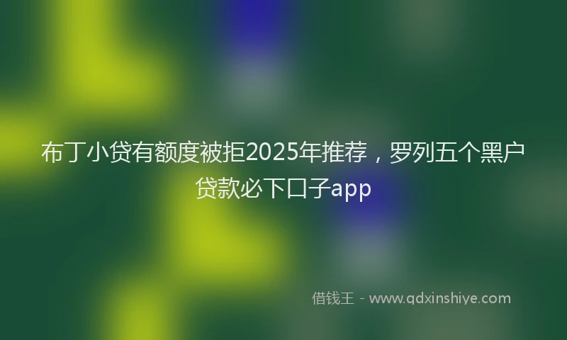 布丁小贷有额度被拒2025年推荐，罗列五个黑户贷款必下口子app
