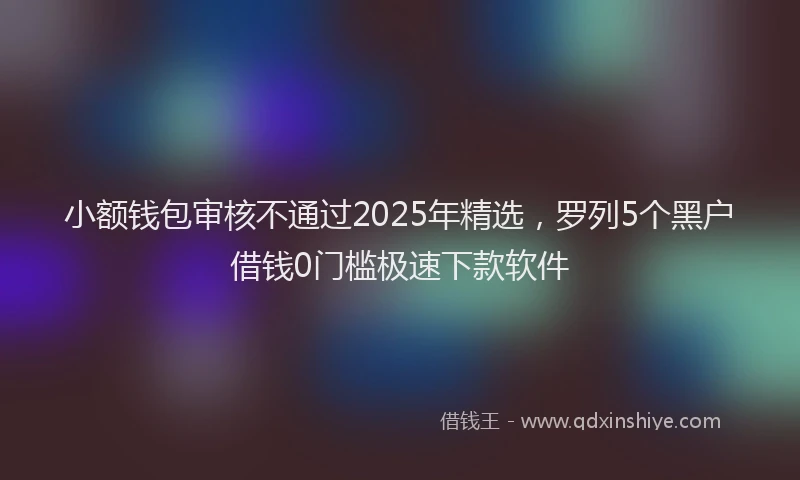 小额钱包审核不通过2025年精选，罗列5个黑户借钱0门槛极速下款软件