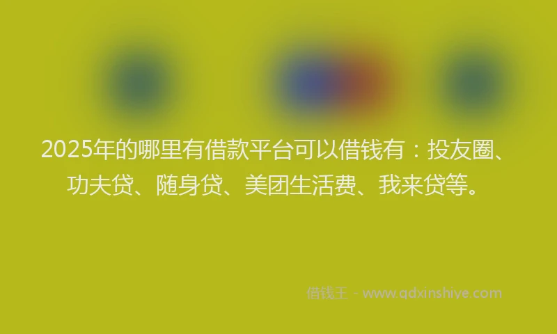 2025年的哪里有借款平台可以借钱有：投友圈、功夫贷、随身贷、美团生活费、我来贷等。
