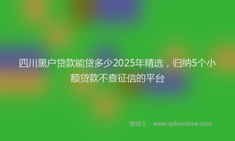 四川黑户贷款能贷多少2025年精选，归纳5个小额贷款不查征信的平台
