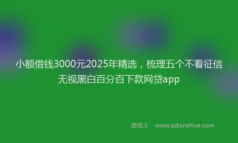 小额借钱3000元2025年精选，梳理五个不看征信无视黑白百分百下款网贷app