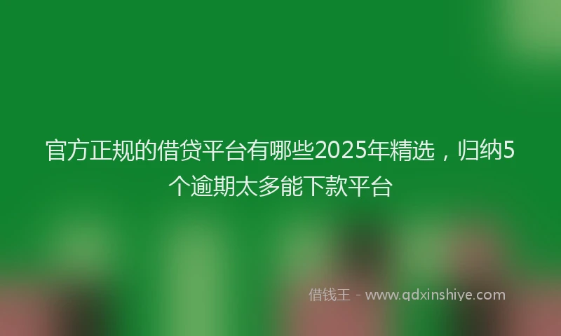 官方正规的借贷平台有哪些2025年精选，归纳5个逾期太多能下款平台