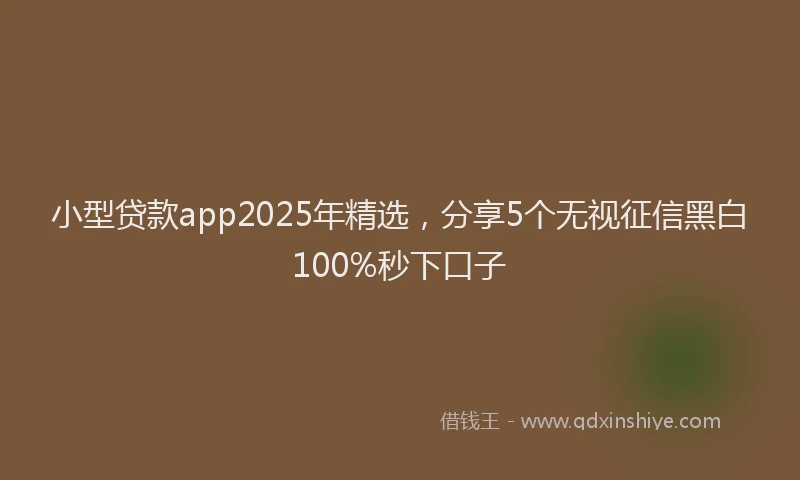 小型贷款app2025年精选，分享5个无视征信黑白100%秒下口子