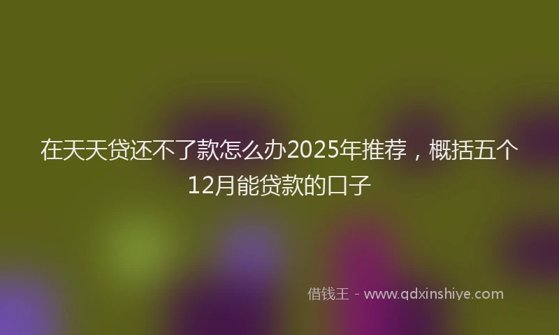 在天天贷还不了款怎么办2025年推荐，概括五个12月能贷款的口子
