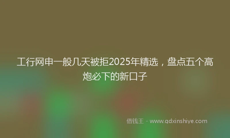 工行网申一般几天被拒2025年精选，盘点五个高炮必下的新口子