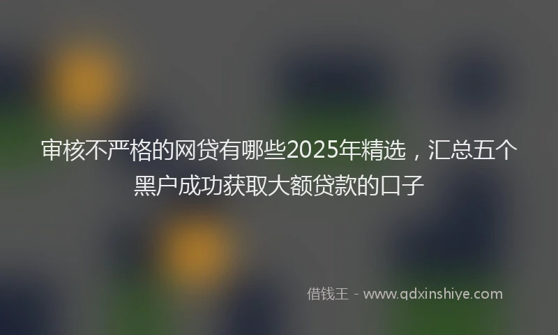审核不严格的网贷有哪些2025年精选，汇总五个黑户成功获取大额贷款的口子